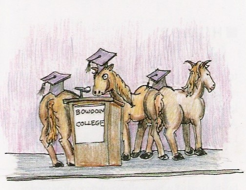 horse graduating college